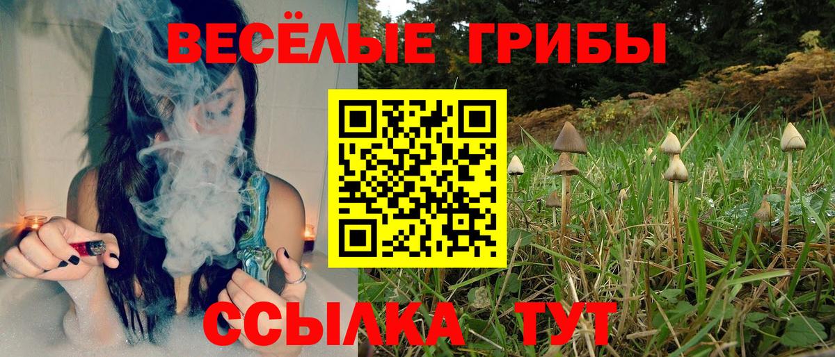 Галлюциногенные грибы MAGIC MUSHROOMS  Вход с VPN  Юрга 